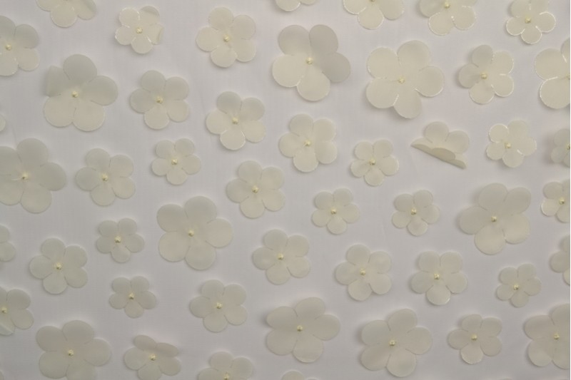 Tüll 3D lilledega: shampanja - Image 2