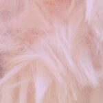 300514053794r c